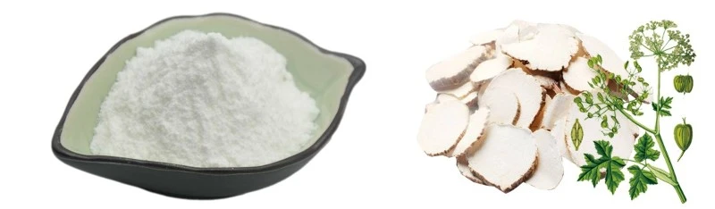 98 Imperatorin Angelica Dahurica Extract Powder by Botanical Cube Inc1 98 Imperatorin Angelica Dahurica Extract Powder by Botanical Cube Inc1