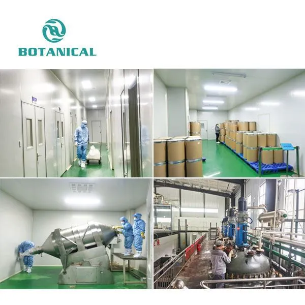 Cinnamon Polyphenol Extract