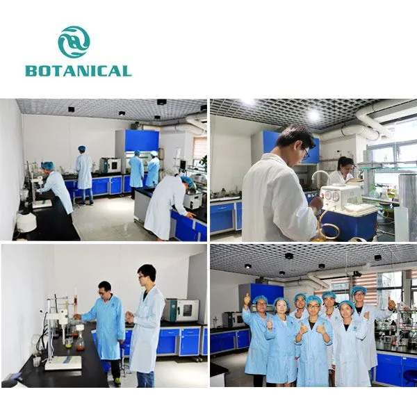 Cinnamon Polyphenol Extract