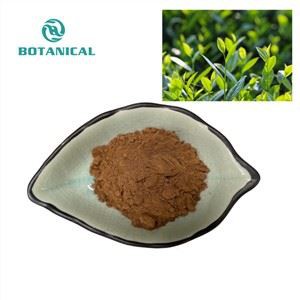 EGCG مستخلص مسحوق