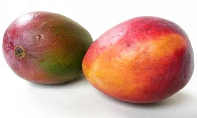 كيفية استخدام مسحوق المانجو؟