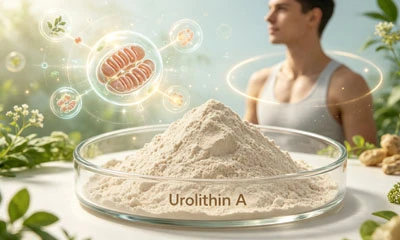 كيفية اختيار الشكل الصحيح من Urolithin A؟