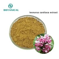Leonurus Cardiaca Extract