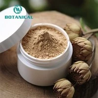مستخلص Saussurea Increcrata